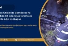 Cuerpo Oficial de Bomberos ha atendido 59 incendios forestales durante julio en Ibagué