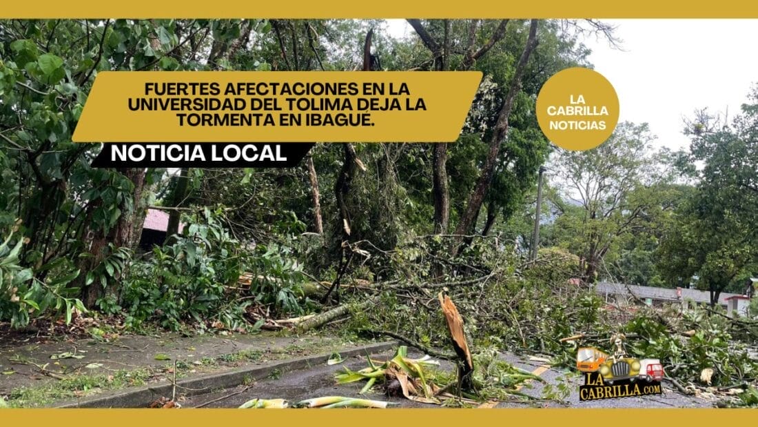FUERTES AFECTACIONES EN LA UNIVERSIDAD DEL TOLIMA DEJA LA TORMENTA EN IBAGUÉ.
