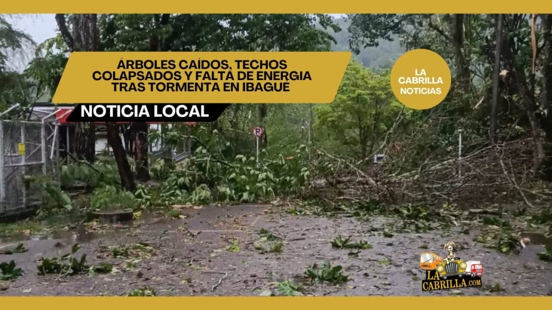 ÁRBOLES CAÍDOS, TECHOS COLAPSADOS Y FALTA DE ENERGIA TRAS TORMENTA EN IBAGUÉ
