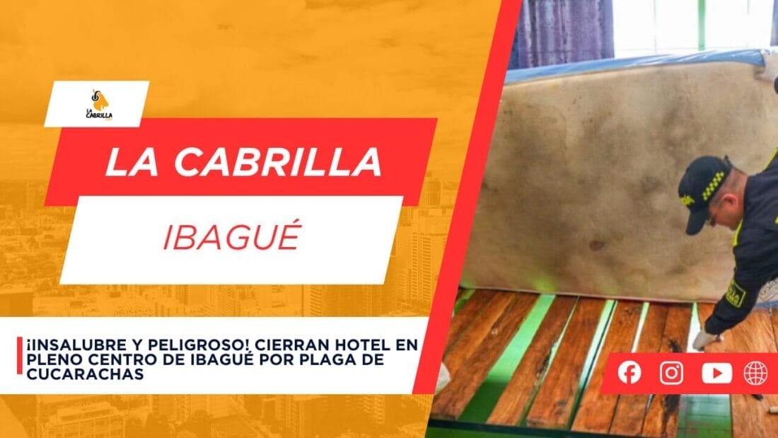 ¡Insalubre y peligroso! Cierran hotel en pleno centro de Ibagué por plaga de cucarachas