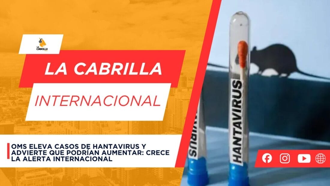 OMS eleva casos de hantavirus y advierte que podrían aumentar: crece la alerta internacional